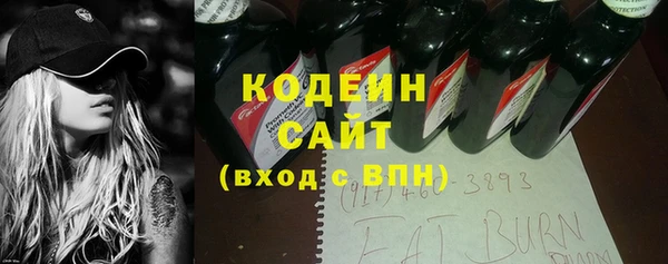 прущие грибы Коряжма