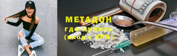 прущие грибы Коряжма