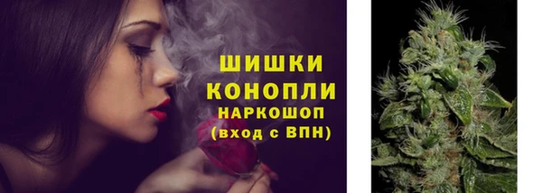 трава Костерёво
