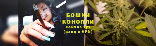 трава Костерёво