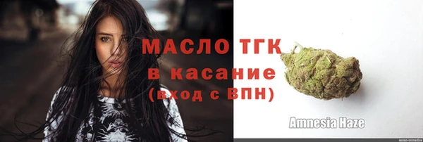 прущие грибы Коряжма