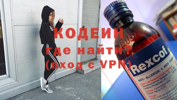 прущие грибы Коряжма