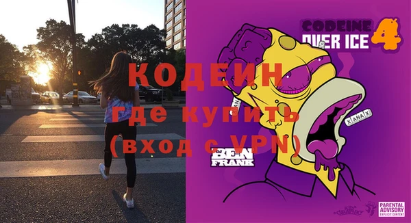 прущие грибы Коряжма