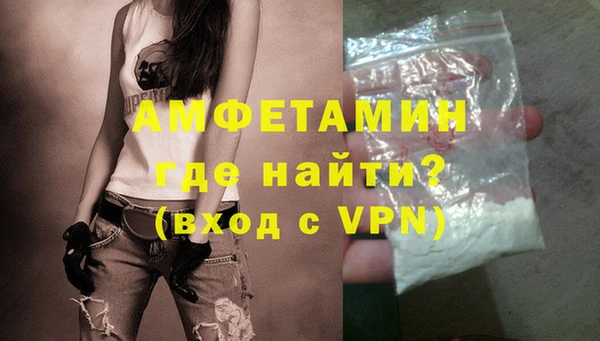 прущие грибы Коряжма