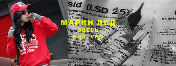 spice Кодинск