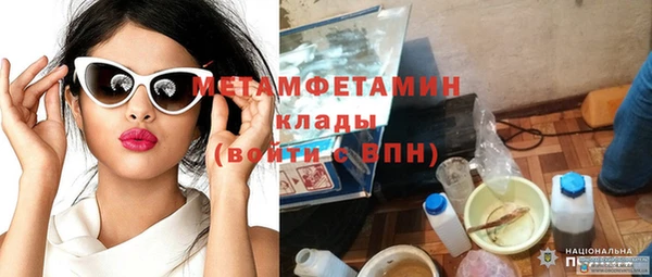 прущие грибы Коряжма