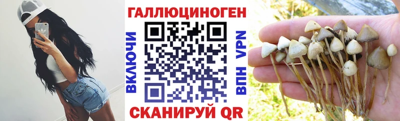 Галлюциногенные грибы MAGIC MUSHROOMS  Купить  Донской 